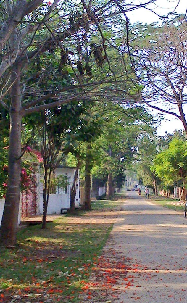 em_basu's tweet image. The world comes filled with #Colors and a whole lot of fresh #greenery. The world that seemed so grey &amp;amp; dull in the winter just left behind has come alive once again. 

#Springhasarrived