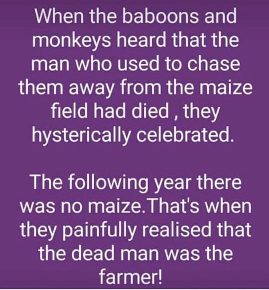 Just saw this on FB - personally I think it sums up where we are currently perfectly!!! <a href="/NFUPolitical/">NFU Political</a> <a href="/Minette_Batters/">minette batters</a> #teamdairy #clubhectare