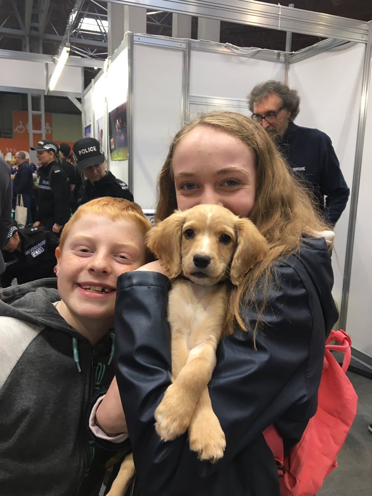 Kategeipel1's tweet photo. @WMPolice @Crufts gorgeous Biscuit https://t.co/boEjx7MM7J