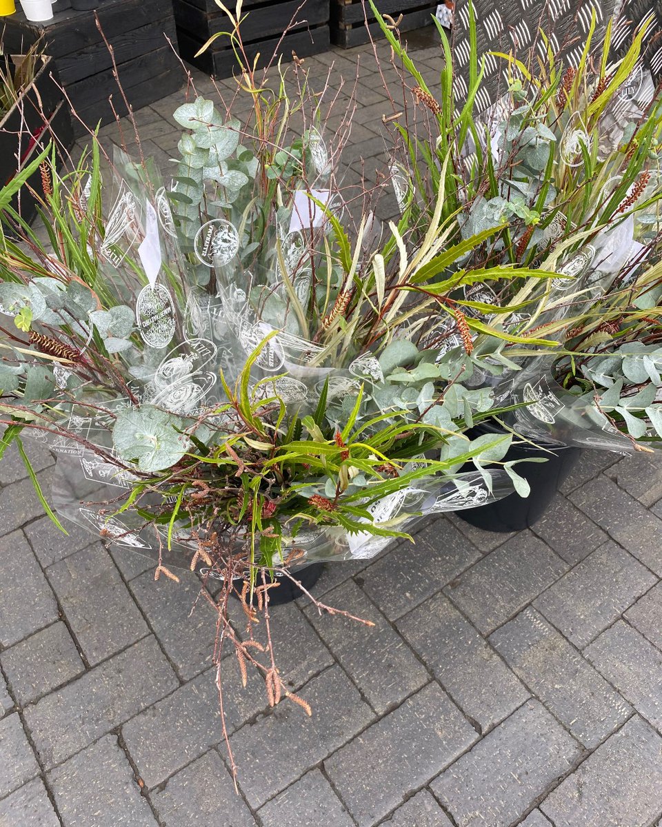 RodgersFlorist's tweet photo. Our boho bunches are back at our Chorlton shop 🌿 long lasting and full of texture, they are perfect to add decoration to your home 😊 #bohobunches #bohovibes #greenery #chorlton #machesterflorist https://t.co/w3gZNwDrO8