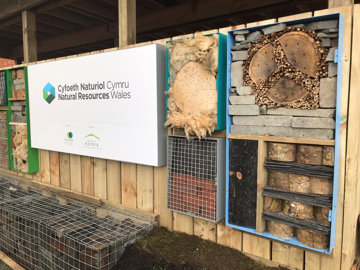Habitat panels with local/reused materials in branded colours make this bike shelter for <a href="/NatResWales/">Cyfoeth Naturiol Cymru | Natural Resources Wales</a> really sing 🙌