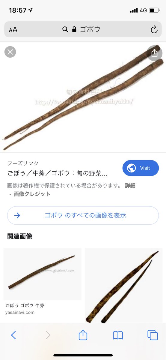 1021yt's tweet photo. @BHUdCXvUwqluWBn @kanna_uver 黙れゴボウに似てるやつ https://t.co/i1DhEnag5c