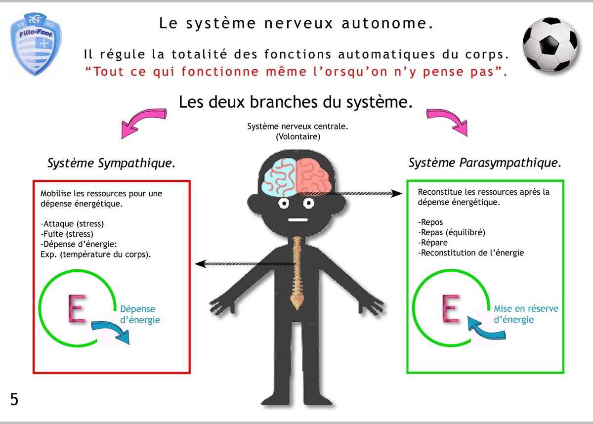 EJitiaux's tweet photo. Présentation hier soir aux parents pour la catégorie Fillo-foot⚽️ #footeuse @racing_cff du système autonome afin de mettre en oeuvre de la #cohérencecardiaque #DavidOhare pour une diminution du stress "contemporain". #calme #attentive #confiante #courageuse https://t.co/44LucRIB7v