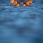 Photo by Viewfinder Mastery (@ViewfinderFoto)