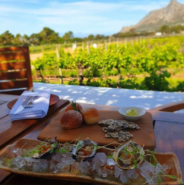 TrynRestaurant's tweet photo. Thank you to @faceofmeraba for sharing this great photo of her Tryn experience on Instagram. #DiscoverTryn https://t.co/BilLtopg9B