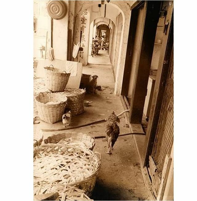 In the 80s, people used the five-foot way as a common area, such as for chit-chatting with friends, eating, working, drying clothes and even raising chicken! "Five-Foot-Way trades", known in the Hokkien dialect as "Gho Kha Ki" trades, have been in existe… bit.ly/2IsnGtA
