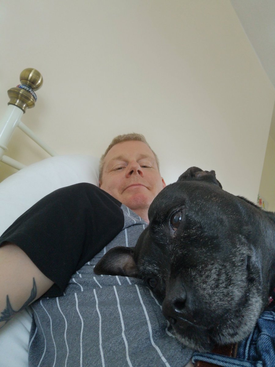 2nd installment of #StaffieSaturday is #snuggy & #huggy time with Freya as we wait for the Sky engineers. Its a good job she's so tiny 😬

#staffy #staffordshirebullterrier #staffylove #dogsoftwitter #dogslife #staffysaturday #selfie #dudeswithdogs