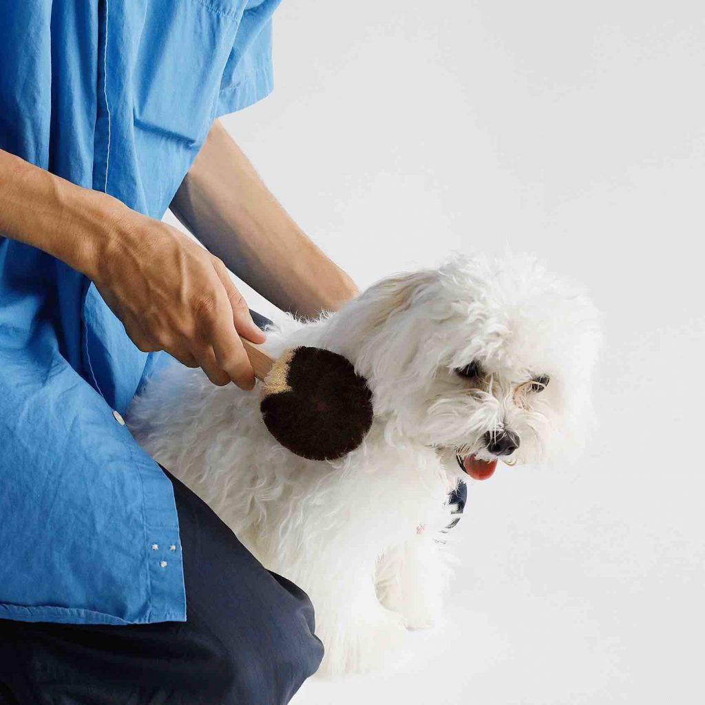 Evermade_jp's tweet photo. 愛犬からブラッシングを求める？　職人が作る北山正積商店の一流ブラシでペットもリラックス
https://t.co/ojsEs6XXtx

#ペットグッズ　＃愛犬 https://t.co/WWSYs6necs