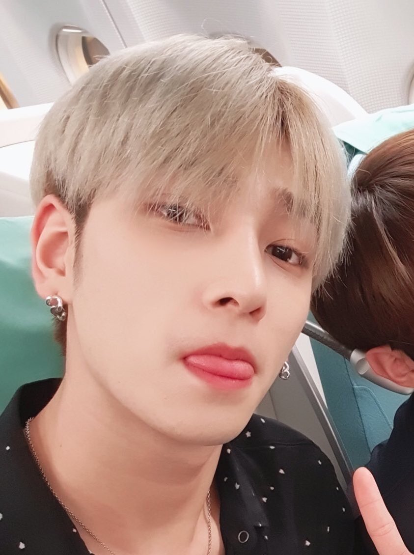 xmallangx's tweet photo. 강아지네마리 https://t.co/IwtMTKTRQo