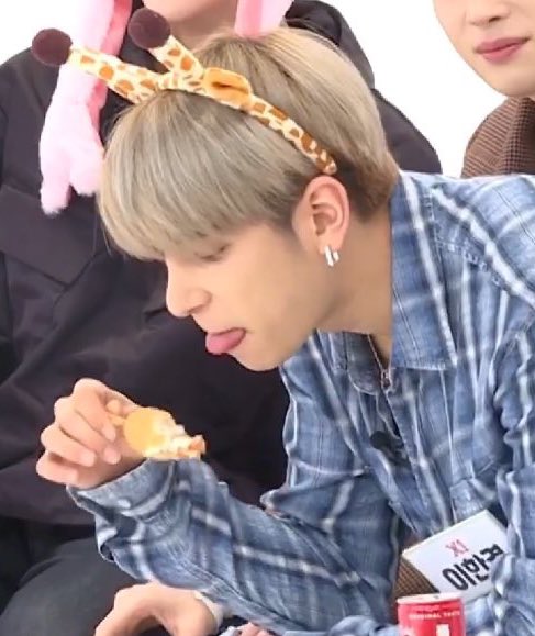 xmallangx's tweet photo. 강아지네마리 https://t.co/IwtMTKTRQo