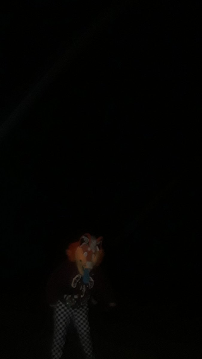 plushgut's tweet photo. youre walking on the beach at night and you see this wyd #FursuitFriday https://t.co/jojxAldtc1