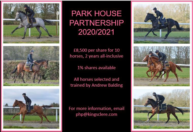 With the jumps season reaching its climax, the flat season is not far away. Do get in touch if you are interested in the partnership below, going to be lots of fun!