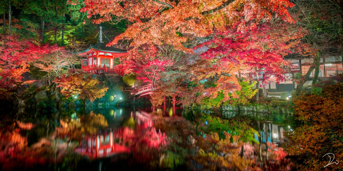 usalica's tweet image. #しれっとすごいことを言う見た人もやる

京都の四季の景色がすごい。