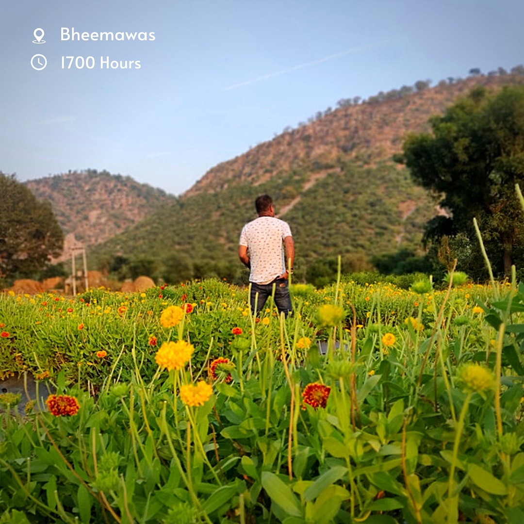 ToRootsIndia's tweet photo. The colossal pleasure you receive in the countryside farm is incomparable. 
In the High-tech life as an Urbanite.
Make time to connect yourself back with the roots of our inheritance.
.
.
Click from the farm which is a few meters from our rural Homestay. https://t.co/jxzJeGWZhI