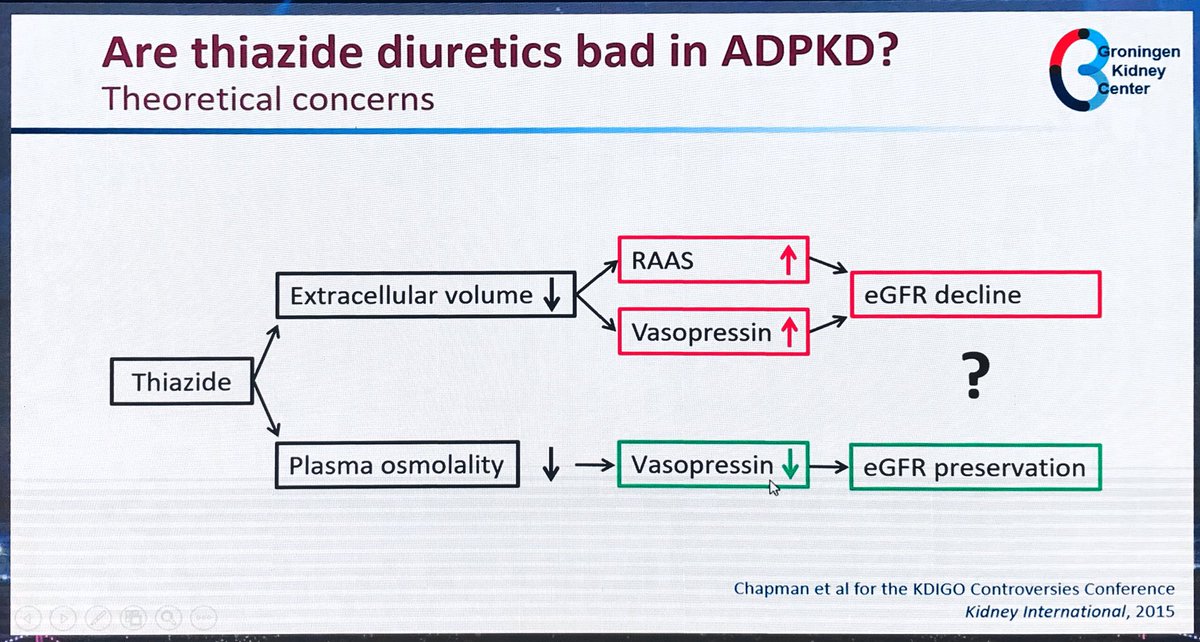 didemturgut_'s tweet photo. How we should control polyuria with tolvaptan in ADPKD? #kidneyist @RKazancioglu @Marici18 @TurkNefro @sibgokcay @#askrenal https://t.co/yznNXbQHIL