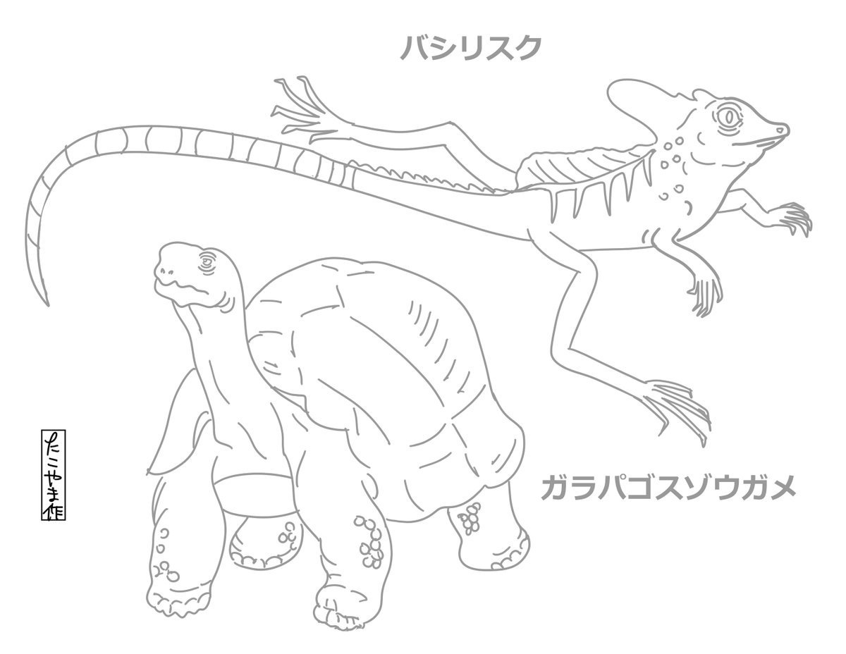 爬虫類が好きな子は塗ってみてね。
#イラストレーターにできること #塗り絵 #休校になった君たちへ