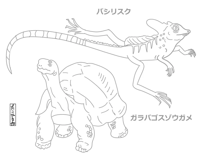 爬虫類が好きな子は塗ってみてね。
#イラストレーターにできること #塗り絵 #休校になった君たちへ 