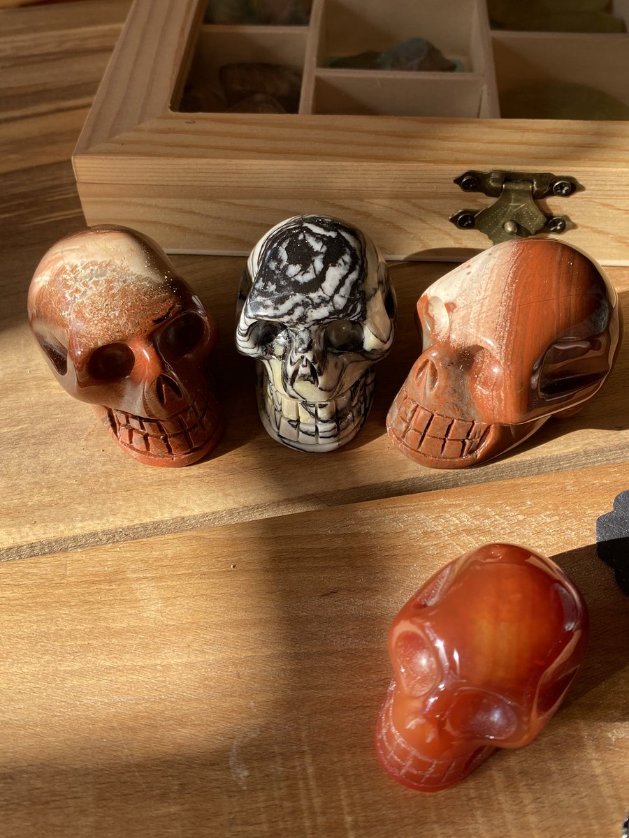 theCrystalPath's tweet photo. π NEW IN: Jasper and Pinolith Skulls. π #thecrystalpath #jewelinsuffolk #crystalsforsale #crystals #suffolk #display #special #events #gift #supportsmallbusiness #independentbusiness #burystedmunds #eventplanner #skulls #carnelian #pinolith #jasper https://t.co/BTRyNQZDEH