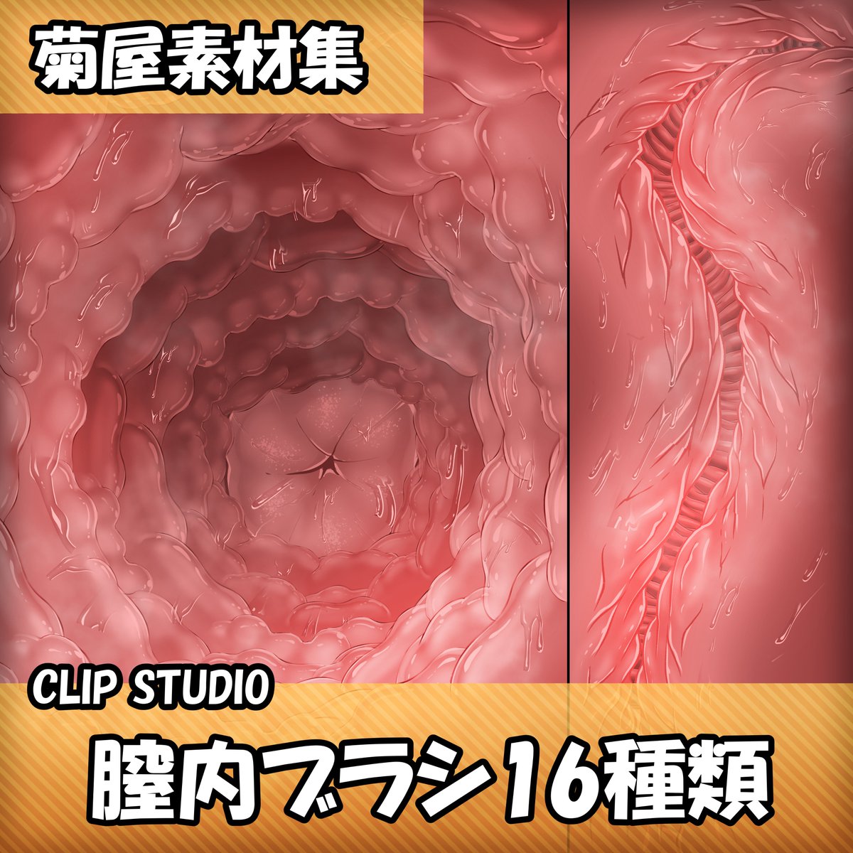 菊にぃ 菊屋素材集 Clip Studio 膣内ブラシ T Co Qxhfc1gsxj サンプル動画です T Co Lzop1wtb1p Twitter