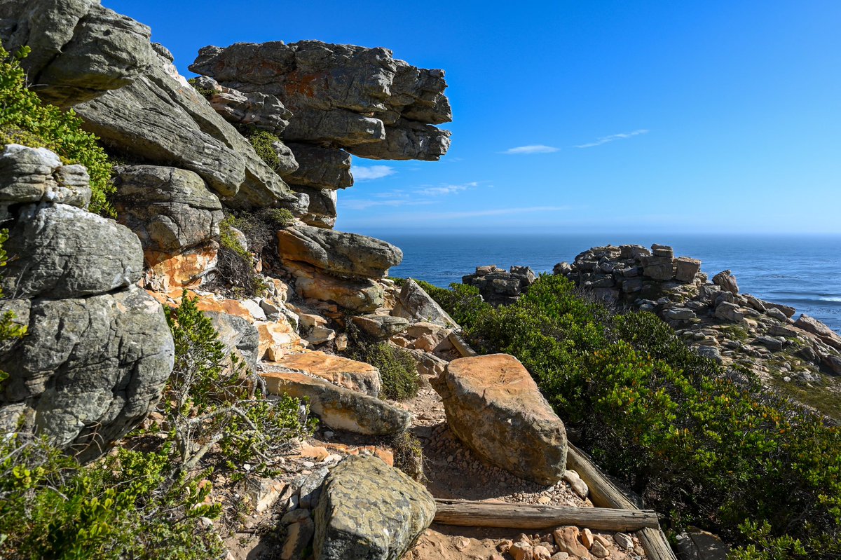 CorneliaSchmid's tweet photo. My South Africa Part III
#CapePoint #SouthAfrica https://t.co/AG59yDeVov