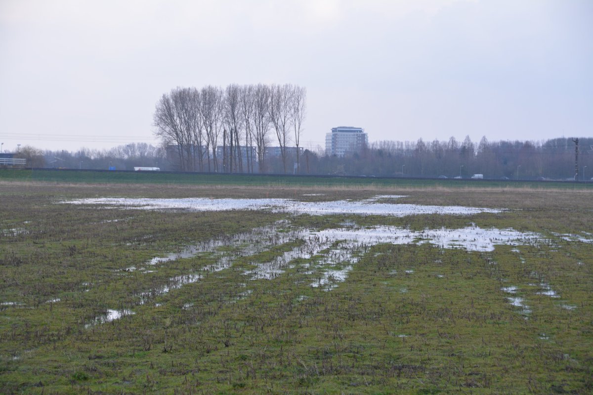 hbvlinderstrik's tweet photo. Na #regenmaand & #regenweek, nu extra #natte weilanden bij @herenboeren-boerderij @hbvlinderstrik. 💧🌧️🌦️🌤️
Het is maar goed dat de #LedenBoomPlantDag, voor de aanplant van onze #boomgaard is verplaatst naar 5 april 20. https://t.co/n2w7M2EkGW