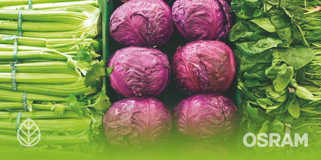 amsOSRAM's tweet photo. Megatrend #healthynutrition? Mobile #spectroscopy required! Thanks to infrared #LEDs by #TheNewOSRAM, your food’s nutritional composition can now easily be measured: https://t.co/mmBDWIWOxS https://t.co/w9shE5iwi9