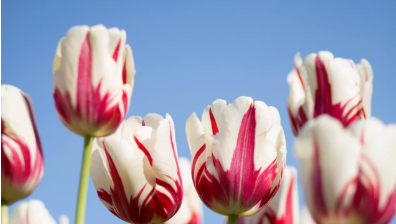 FoxHoundsHotel's tweet photo. Mother's Day, Sunday 22 March

🌺2 course carvery roast dinner, incl tea or coffee
🌺£17.95 per person
🌺Home made treat for all Mums.
⁠
Booking is essential on 01769 580345
⁠
#mothersday #mothersdaydevon #motheringsunday #foxandhoundshotel https://t.co/seBfEF3orc