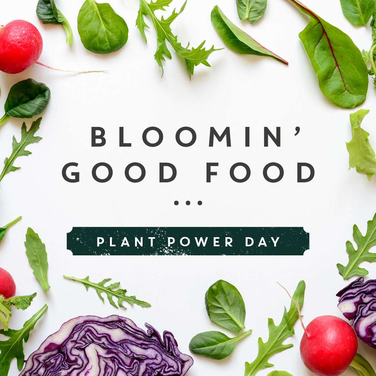 Heard about Superfood Salads and desperate to try one? We're celebrating Plant Power Day with plant-based meals –  all in one of our scrummy bowls.

#PlantPowerDay #PokeBowl #Hawaiian #Healthy  #Dine #Delicious #Food
