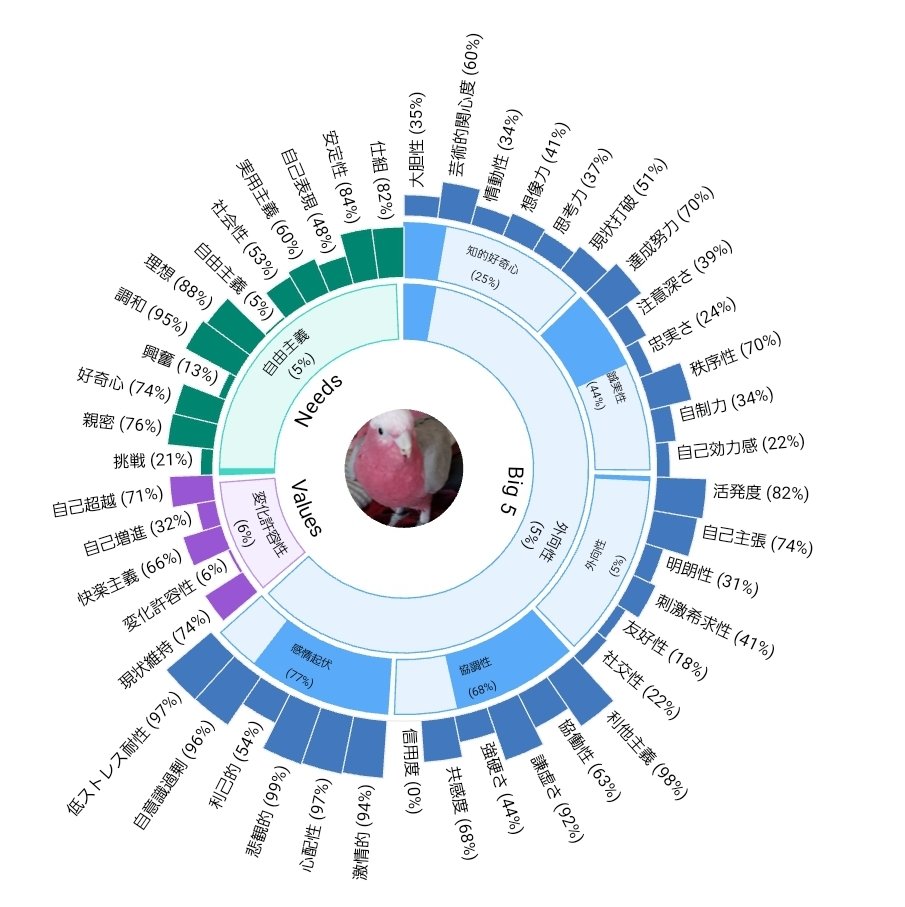 サンバーストチャート Twitter Search Twitter