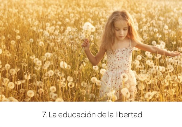 IdentitasEdu's tweet photo. Hoy trabajaremos la asignatura 7 “La educación de la libertad” con nuestra promoción de Attenditas #malaga
Esta asignatura es una de las más necesarios para la mejora de la calidad de la educación, tanto en la familia como en los colegios.
#expertodaip
#educacionpersonalizada https://t.co/Czx1eLY7Jb