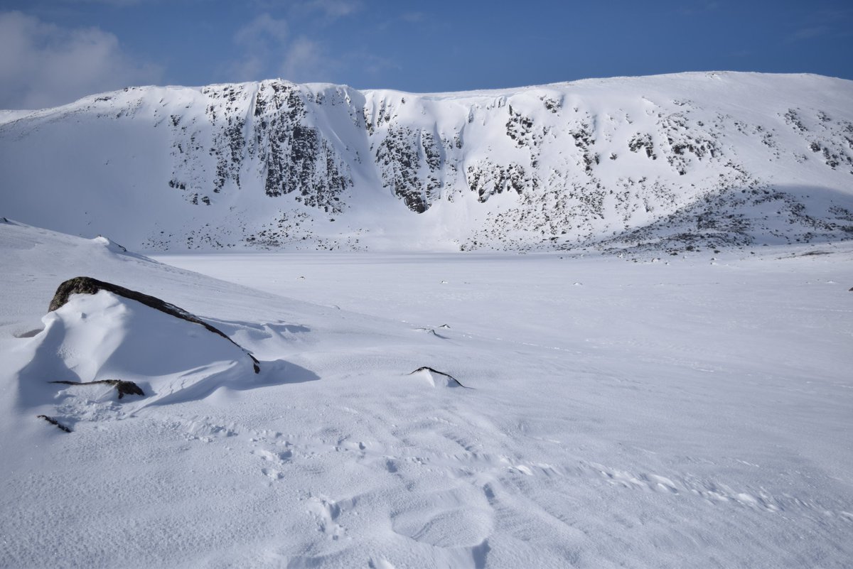 MarLodgeNTS's tweet photo. Fantastic day on Derry Cairngorm @MarLodgeNTS . Only bumped into one other person, amazing snow conditions, no sign of Loch Etchachan and pine regen at 870m. A wild land  experience.
#cairngorms
#rewilding
#snow
@walkhighlands 
@ramblersscot 
@N_T_S
@Mountain_Scot
#munros https://t.co/YnHhEggUOA