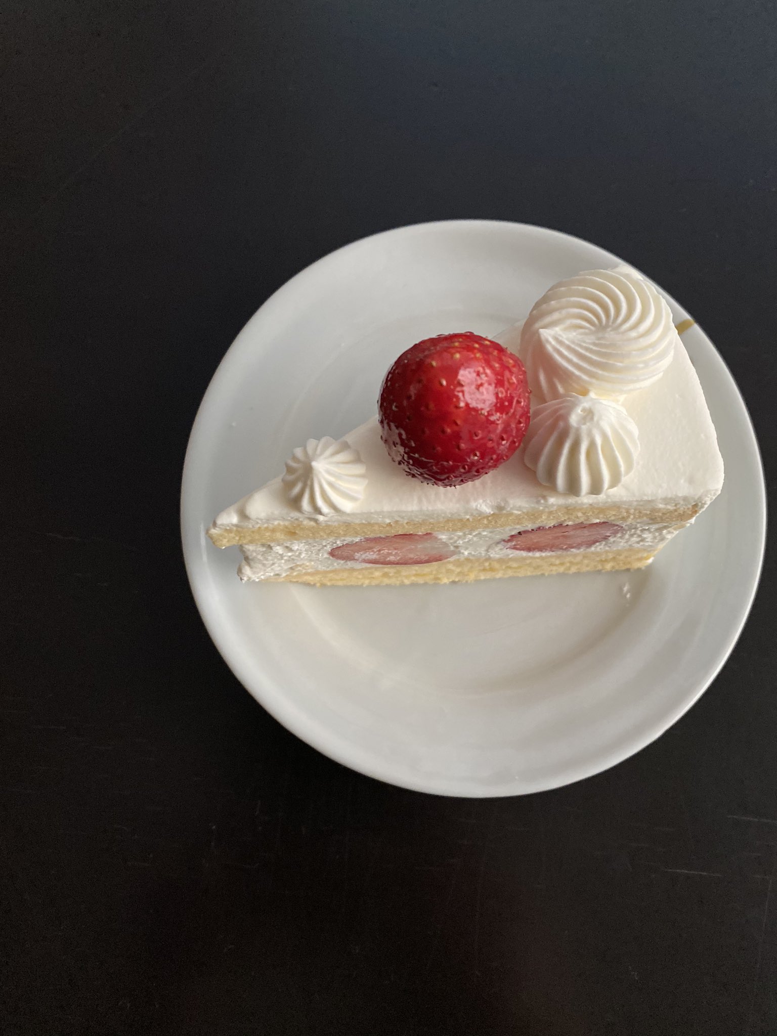 土井善晴 家の近所にケーキ屋さんができてしもた 土井善晴 家の近所にケーキ屋さんができてしもた