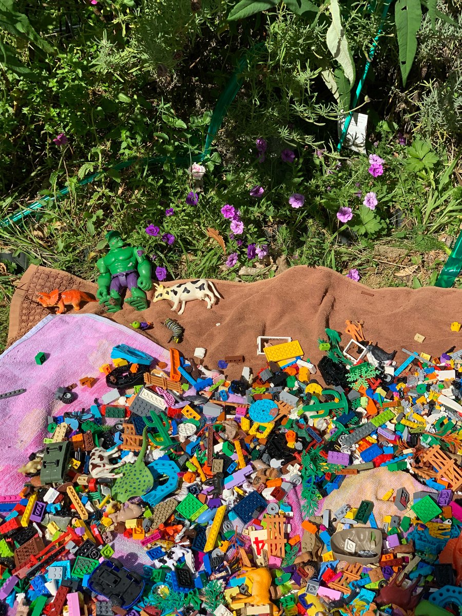 Taranz1's tweet photo. Day spent sanitising and cleaning work lego. #keepingTeamSafe #keepingLearnersSafe #rarangamatihiko #familydoingthemahi #keepingitclean https://t.co/GKUC6PPCX0