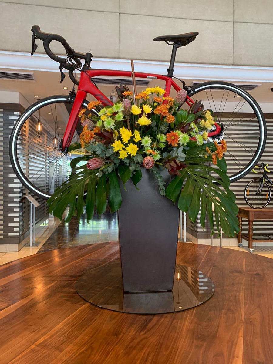 SouthernSunGrp's tweet photo. @tsogosun hotels welcoming @CTCycleTour guests in true cycling fashion 🚲 #ctcycletour2020 #tsogosun #SScullinan #SSwaterfront https://t.co/ryf3I5cEM2