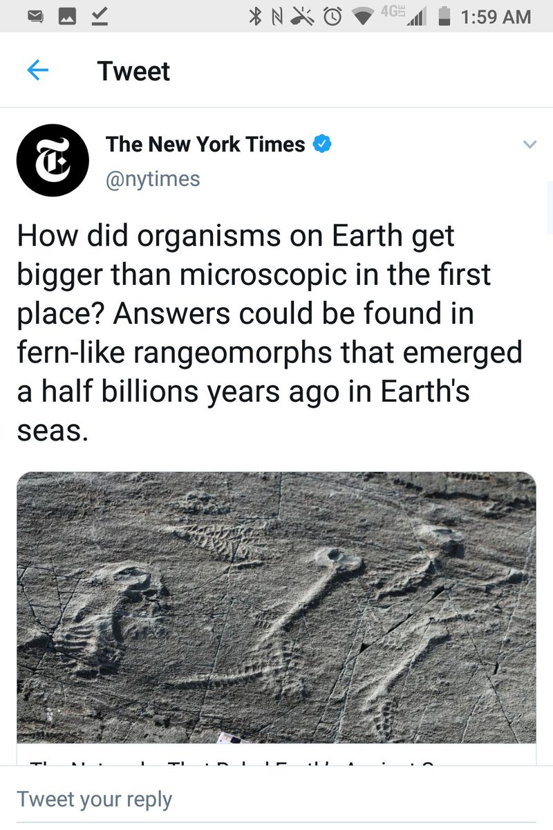 Typos of the New York Times tweet media
