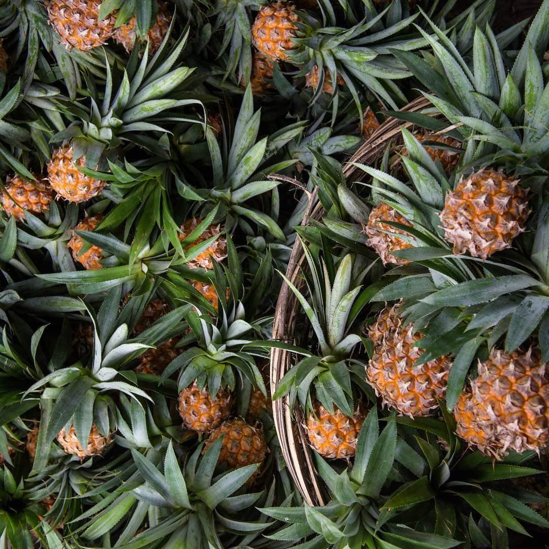 DhakalSaurav's tweet photo. New world - new material #pinatex #innovation #MakingFuturesPH #pineapplefiber #natural @circleeconomy @npBritish it will be good learning @Greengrowth01
भुइकटहर को पातबाट बन्ने रैछ कपडा र जुत्ता ।।।। https://t.co/yaJsnJcpKs