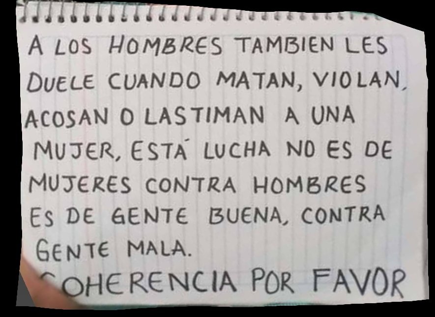 Nereida Casares tweet media