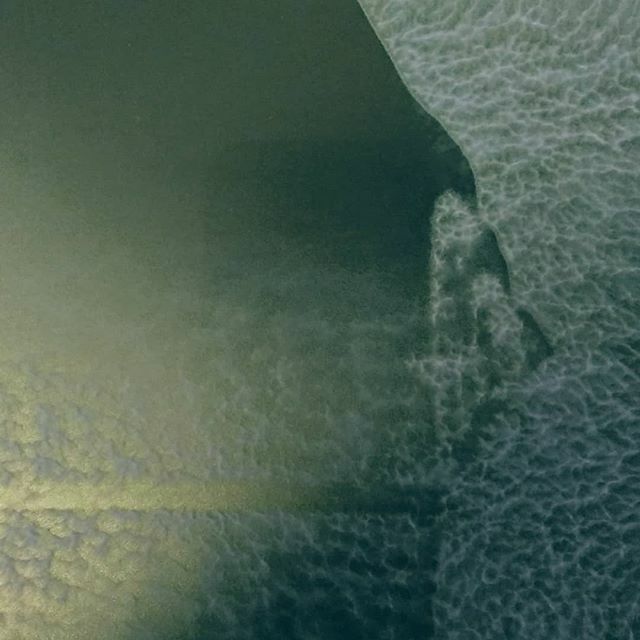 stephyshipley's tweet photo. On first acquaintance, the dusty shadows cast by the play of winter light that swathed the interior of @plasbodfa beguiled the senses #polaroid #emulsion #solarplate #unusmultorum #allthatglitters https://t.co/nQS81n9fp9 https://t.co/CnAuJQWcjp