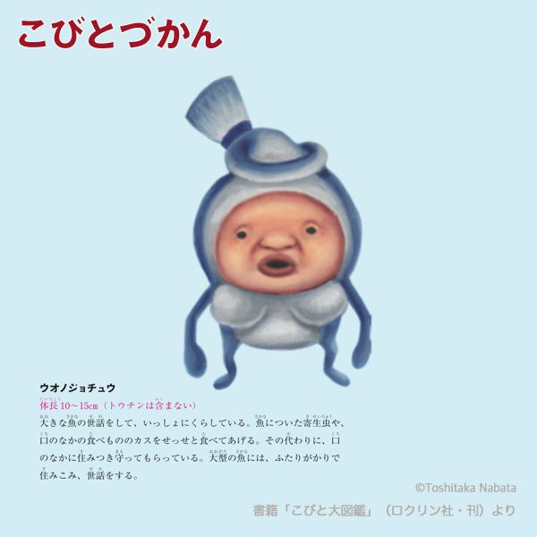 こびとづかん ７体セット Belezahd Com Br
