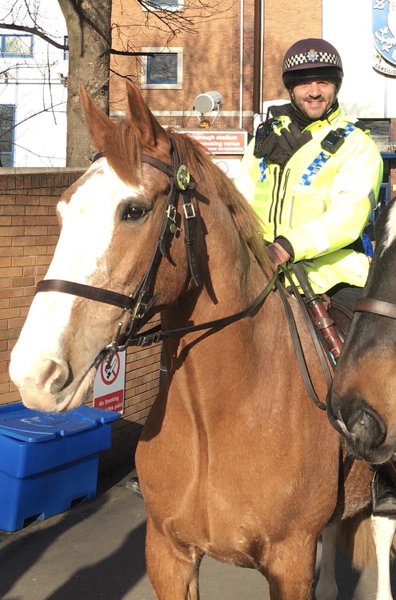 PC_Reed's tweet photo. Myself and Billy are on our way with the rest of our brilliant #SYPHorses and ⁦@SYPOperations⁩ team to support ⁦⁦@CSuptCWilson⁩ and ⁦@Humberbeat⁩ for ⁦@SUFCOfficial⁩ v ⁦@officialgtfc⁩ .
Come and say hello if you see us! 👍💙🐴 https://t.co/fNc9cw3ywR