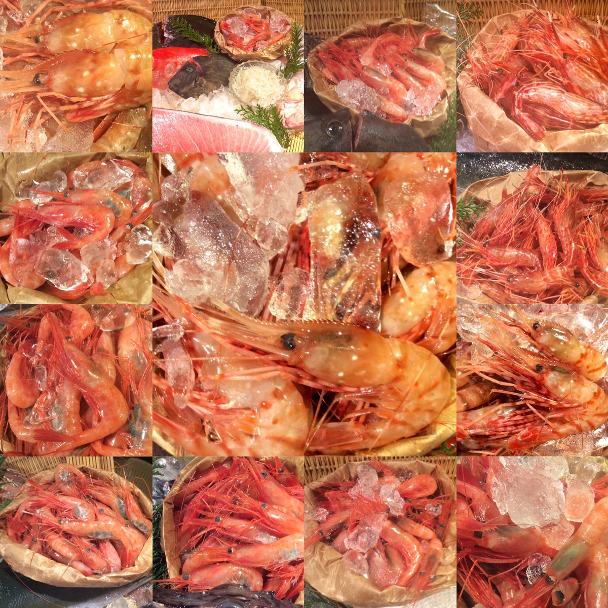 人が良い居酒屋さん アマエビの画像を貼ると皆元気になるんか 勘違いだがみんなほっこり 爆笑して結果的にめちゃめちゃ元気に Togetter