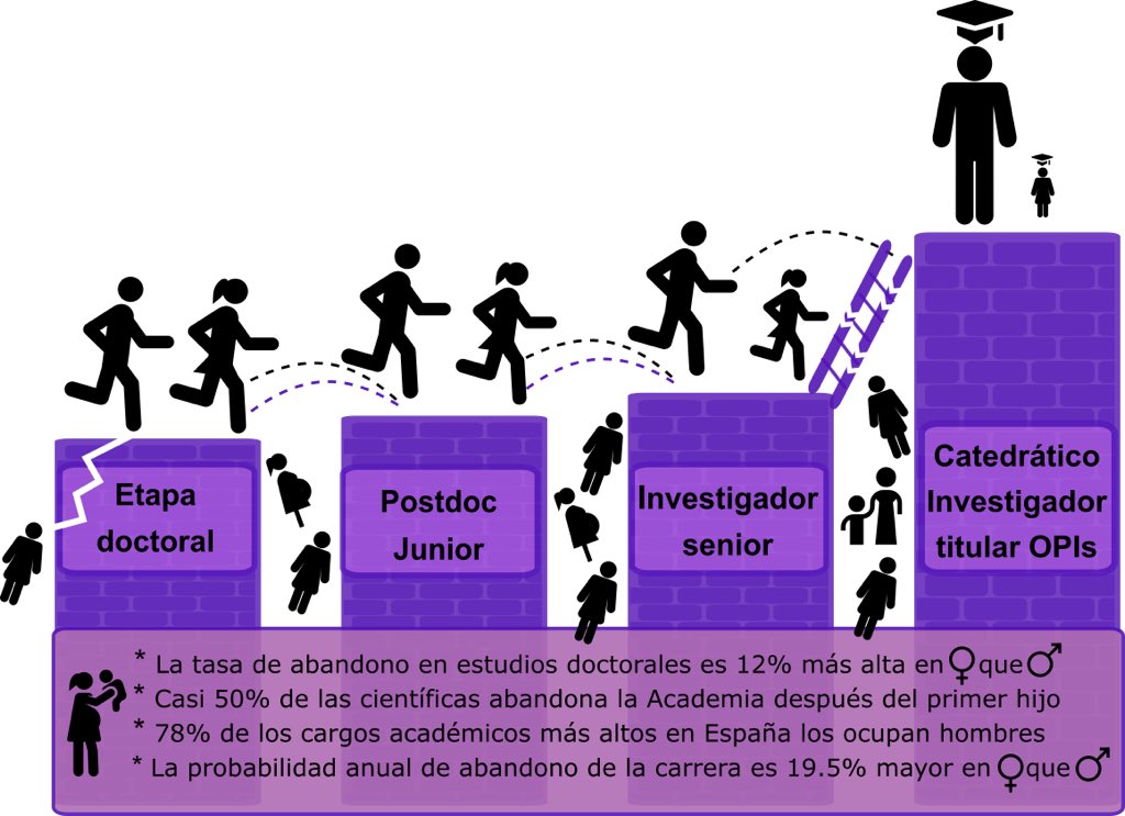 madresBDV's tweet photo. 📢Tenemos un gran problema en Ciencia. Se llama “Leaking pipe” y es el “abandono” prematuro de mujeres de la carrera investigadora.

“Abandono” es el término políticamente correcto de “expulsión”. Es el sistema el que las “abandona” a ellas, por ser mujeres y madres.

#8M2020 🚺 https://t.co/0e9Dzi6Nvm