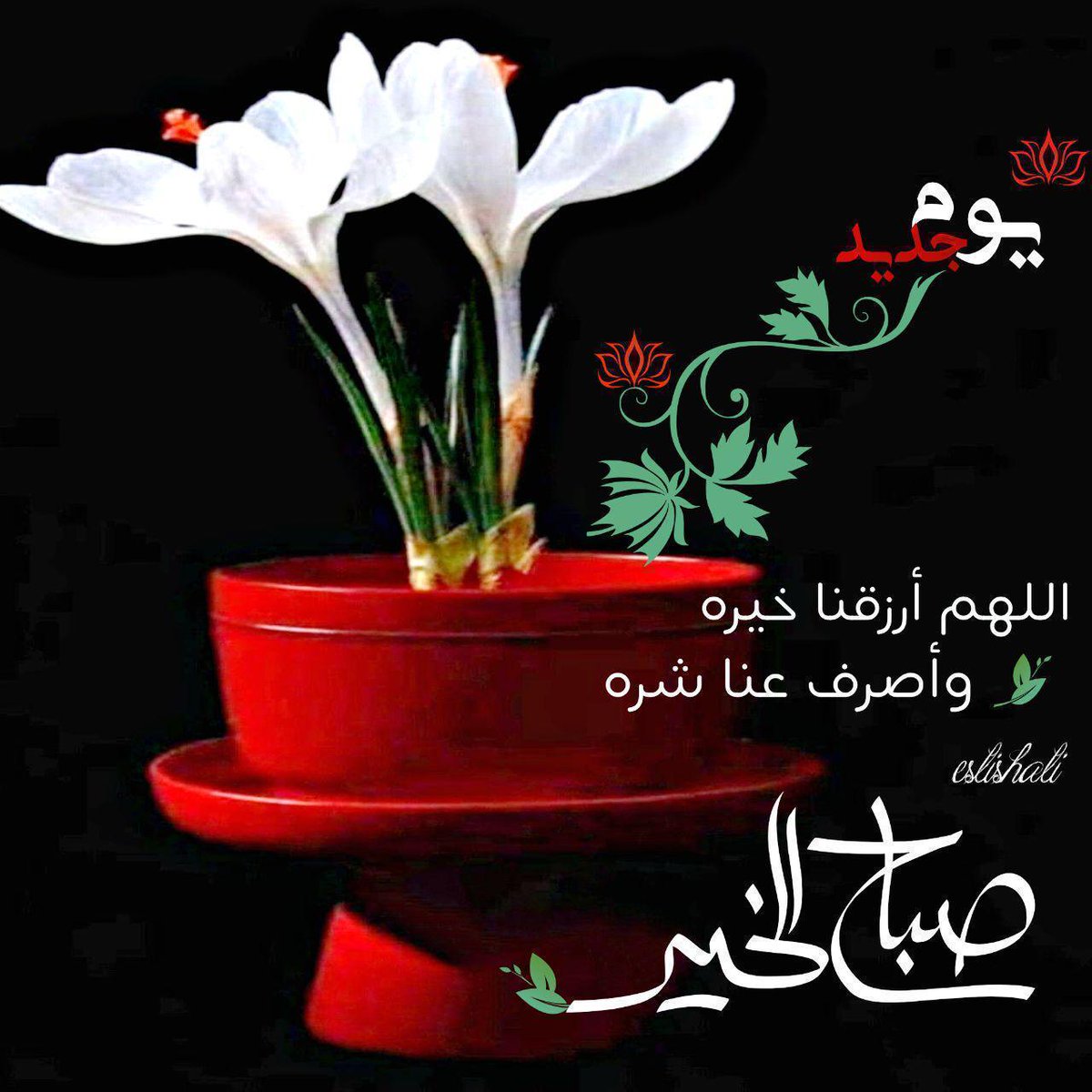 أسأل الله العظيم رب العرش العظيم
ان يجمعنا بكم ووالدينا وجميع المسلمين مع الأنبياء في جناته

اسعد الله صباحكم