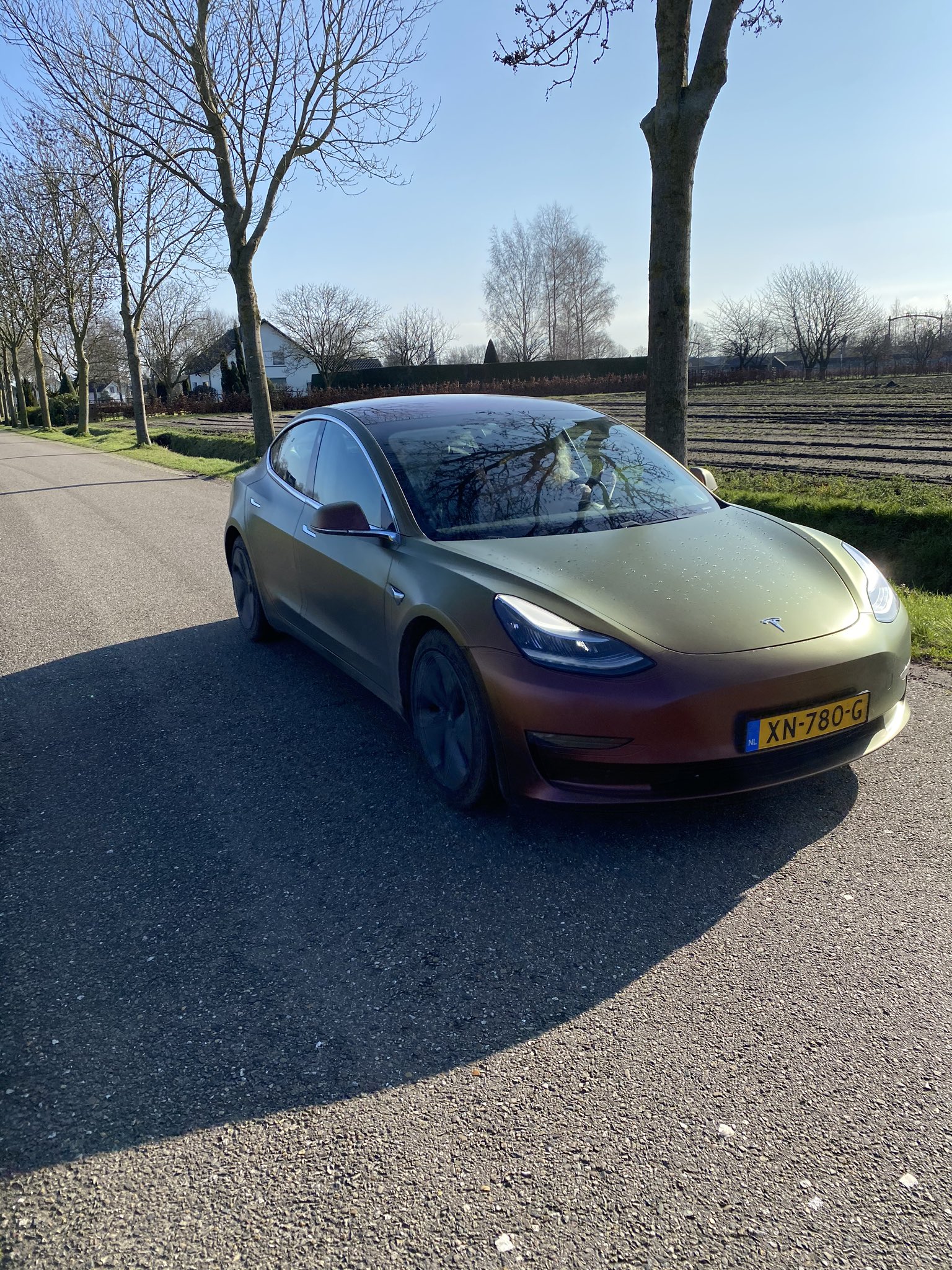 Absoluut systeem vasteland Tesla Model 3 News (@TeslaModel3News) / Twitter