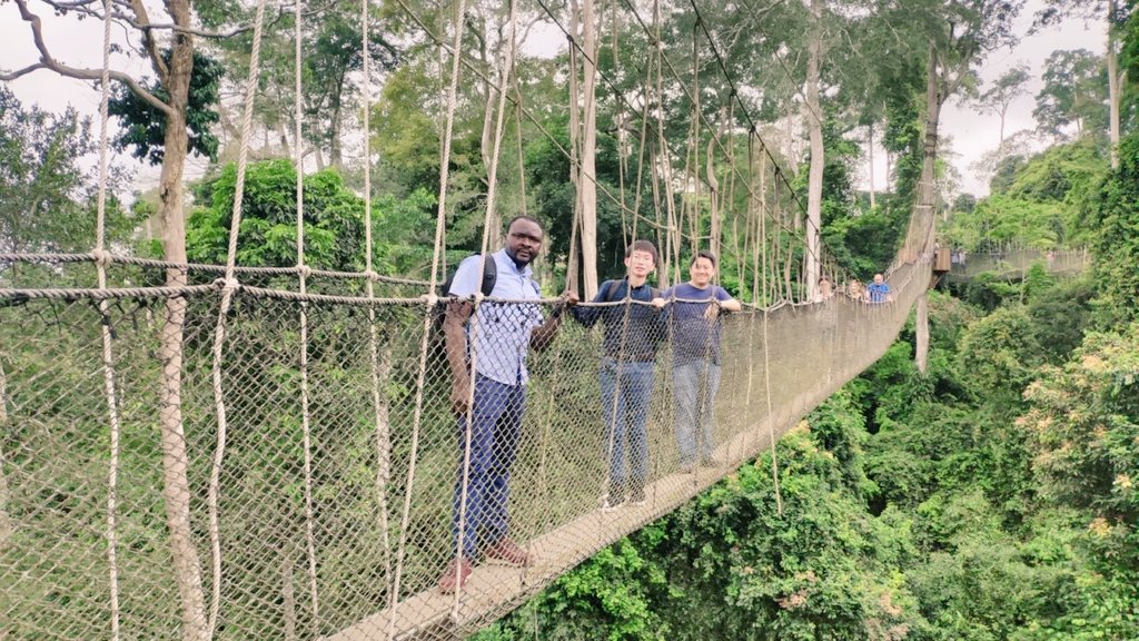 The magical <a href="/kakumpark/">Kakum National Park</a> in #Ghana. Environmental conservation and averting a possible climate catastrophe should be on everyone's agenda.

This beauty needs all the protection.
#ClimateAction #ClimateChangeIsReal
<a href="/bennyplo/">Benny Lo</a>
