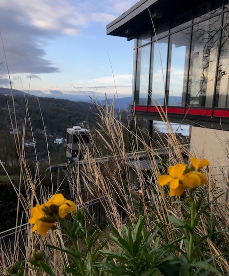 LandesmuseumKO's tweet photo. Den General-Aster-Steig hoch und weiter über den Felsenweg zur Festung spazieren und Augen offen halten! Der Frühling kommt! 😍 Und schon mal zum vormerken: unser „Festungsfrühling" mit regionalem Genussmarkt findet am 05.04.2020 statt. https://t.co/rVlubp2T5i