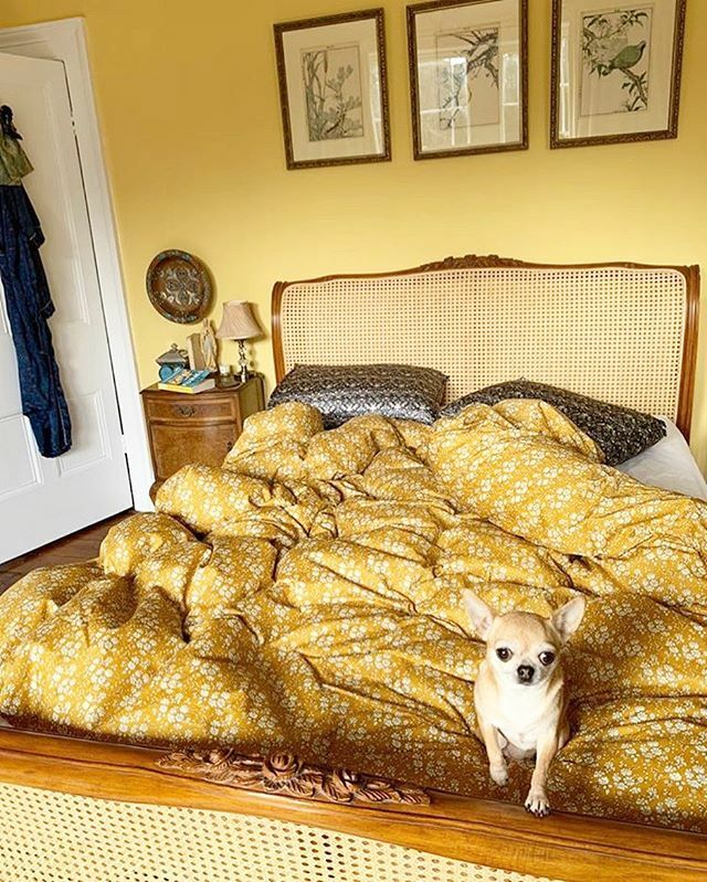 Silk pillowcases and Tana Lawn™️ duvets really do make the most luxurious bedding. With International Women’s Day tomorrow and Mothers Day in a couple of weeks we have pulled together a gift edit of treats (link in bio). All I ever want is a hug from my … ift.tt/332vXOf