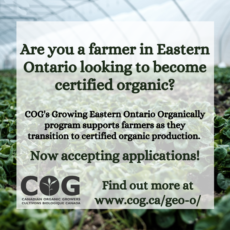 CanadianOrganic's tweet photo. Our GEOO program is now accepting new applicants!

Are you a farmer in Eastern Ontario looking to transition to certifed organic production? We offer a wide variety of support to help farmers succeed. 

Application period open until April 1st.

https://t.co/uWkcAHKZTM https://t.co/Ge2hiADk7b