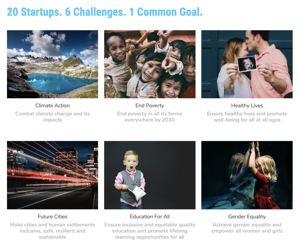 #bottish association tweet media