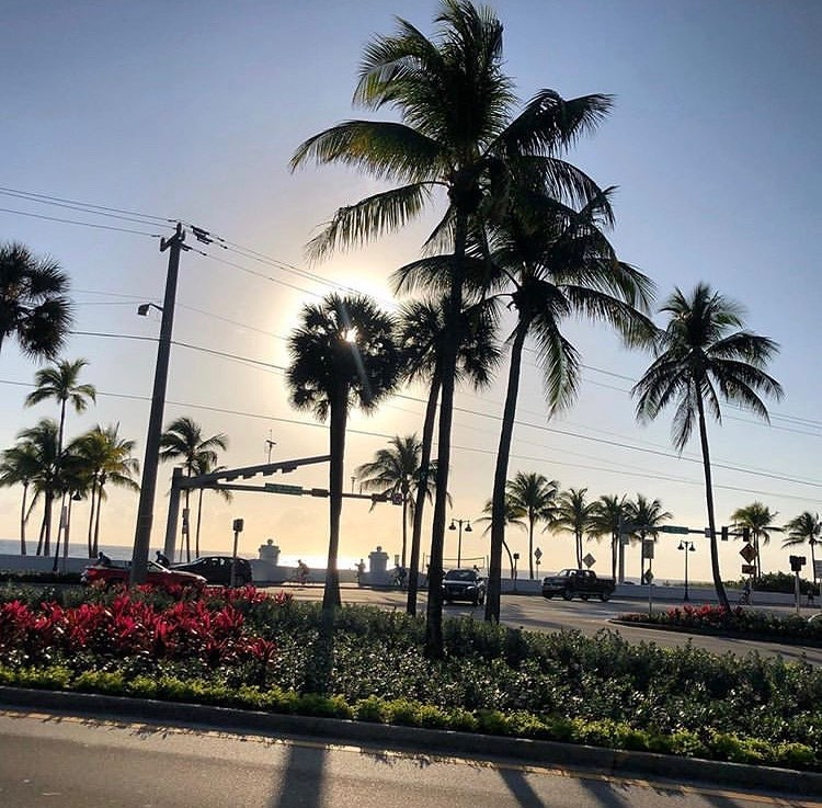 RIVAResidences's tweet photo. Spring is in the air 🌴 .

📷: @vemprafortlauderdale https://t.co/OmGRihoYui